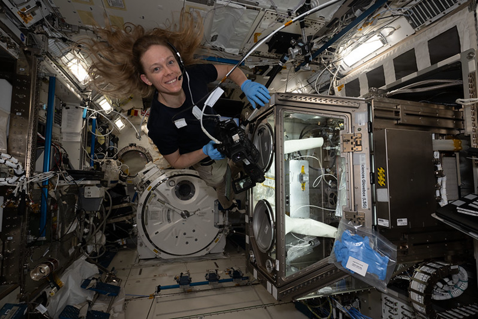 Николь Эрс проводит биотехнологические исследования в перчаточном боксе LSG в ЭМ Kibo. Фото: nasa.blog.com