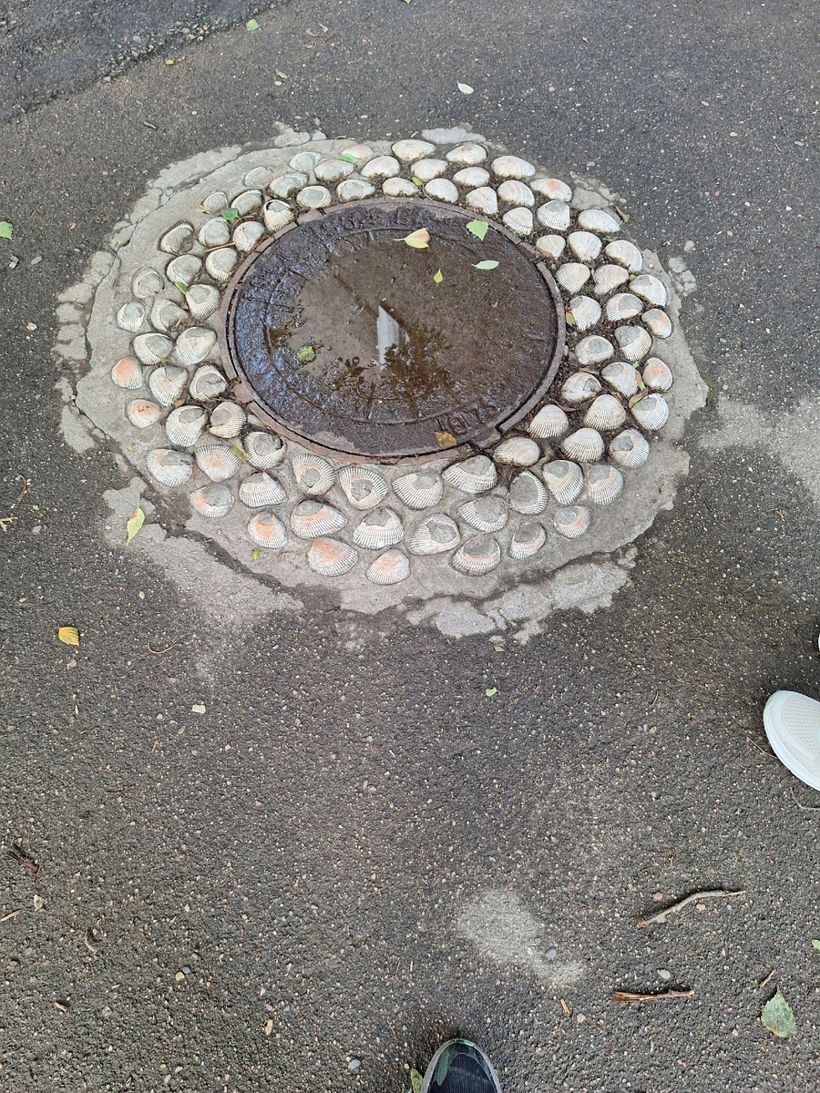 Обычный люк с ракушками