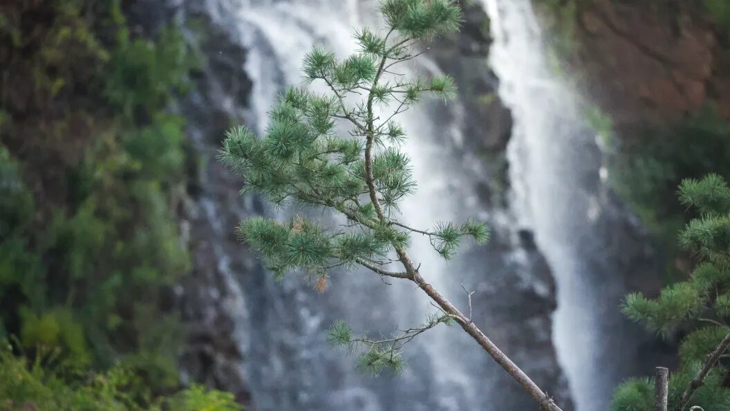    Petrov Sergey/news.ru/Globallookpress