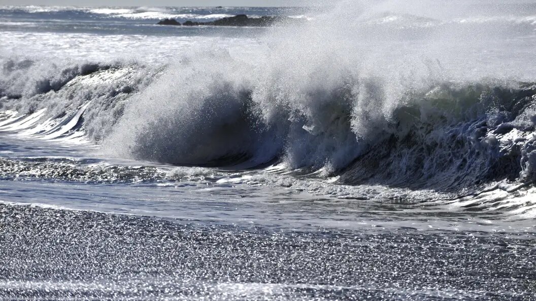    Фото: Manfred Vollmer/Globallookpress