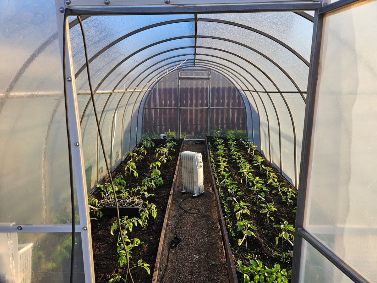 Единственное, где теперь включается обогреватель - в теплице, когда рассада высажена, а на улице резкое похолодание