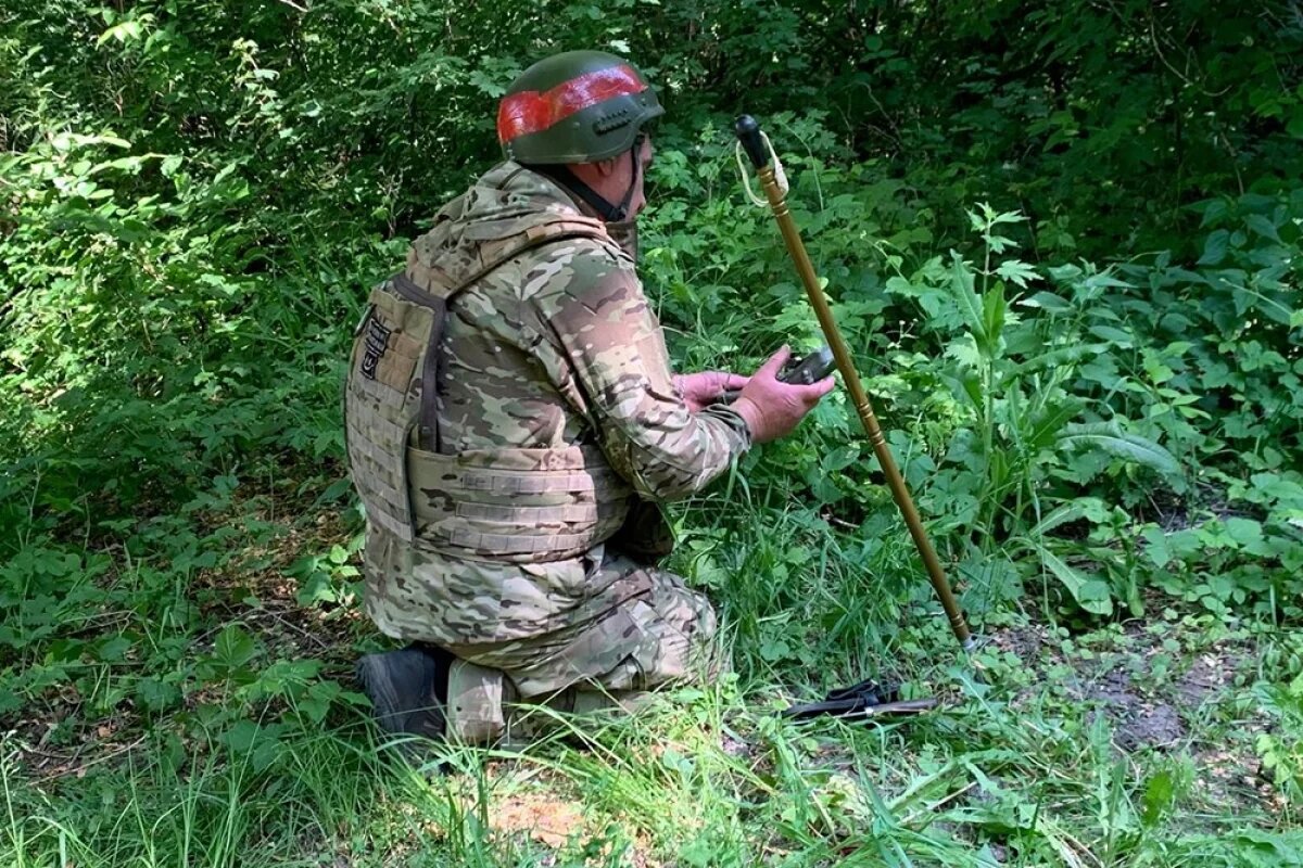    В приграничье Курской области обезврежено более 530 тыс опасных предметов