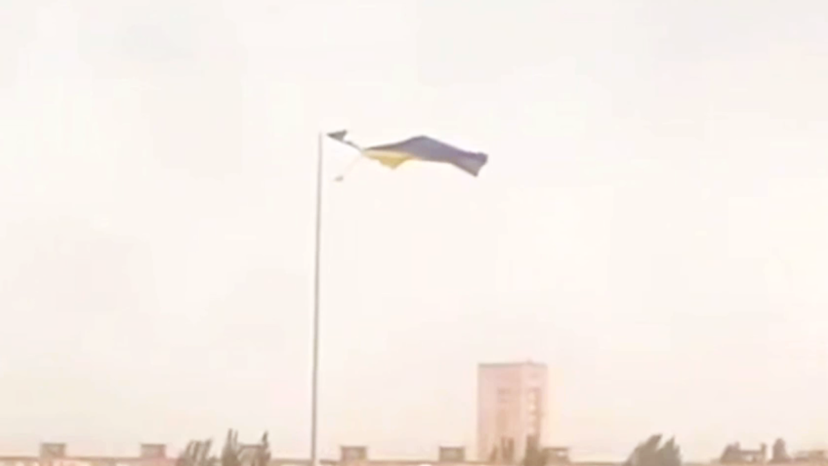     / Источник: Кадр из видео