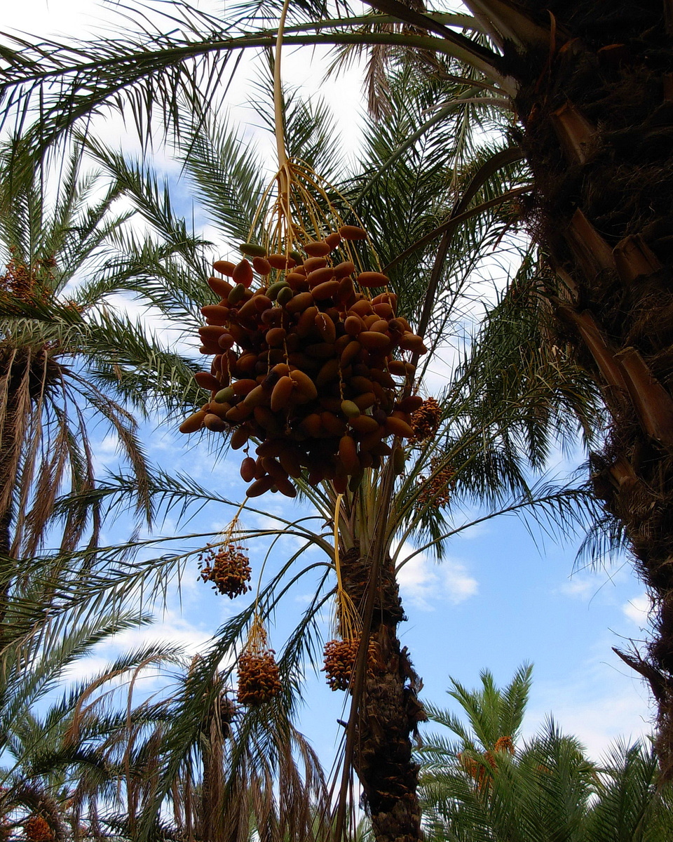 Все фотографии в статье мои и сделаны в сентябре 2010 года