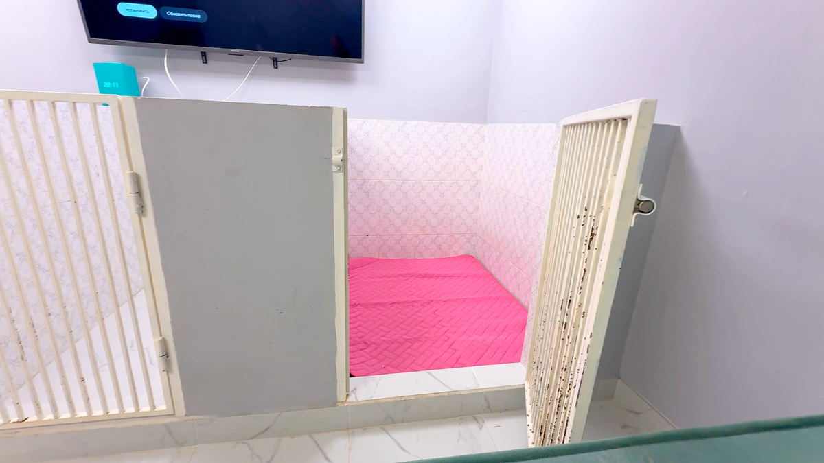 Новый вольер для беременной собаки Милли