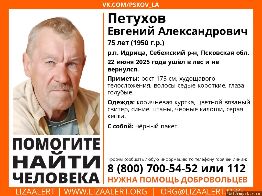 Фото: поисковый отряд «ЛизаАлерт» Псковской области