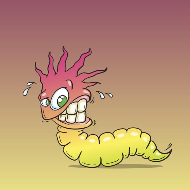 картинка из интернета