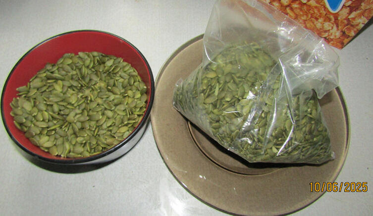    Очищенные тыквенные зерна Фото: Андрей Кашкаров, личный архив