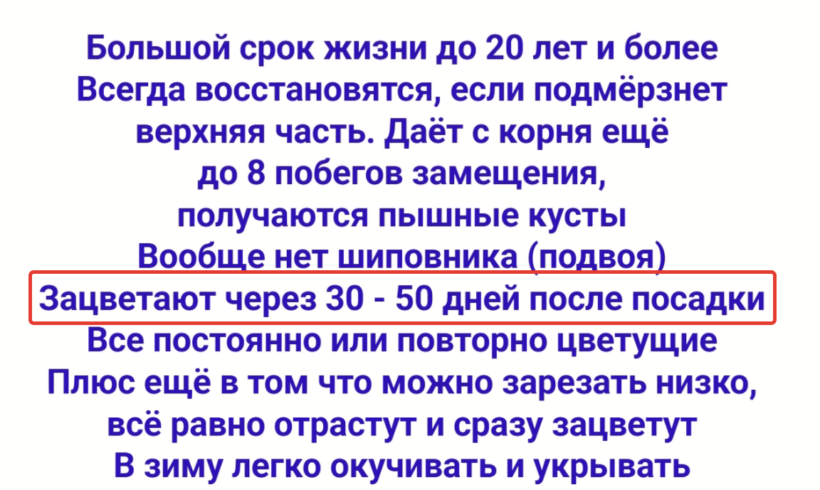 Фрагмент страницы с сайта https://helen-trehrechniy.ru/rose-catalog