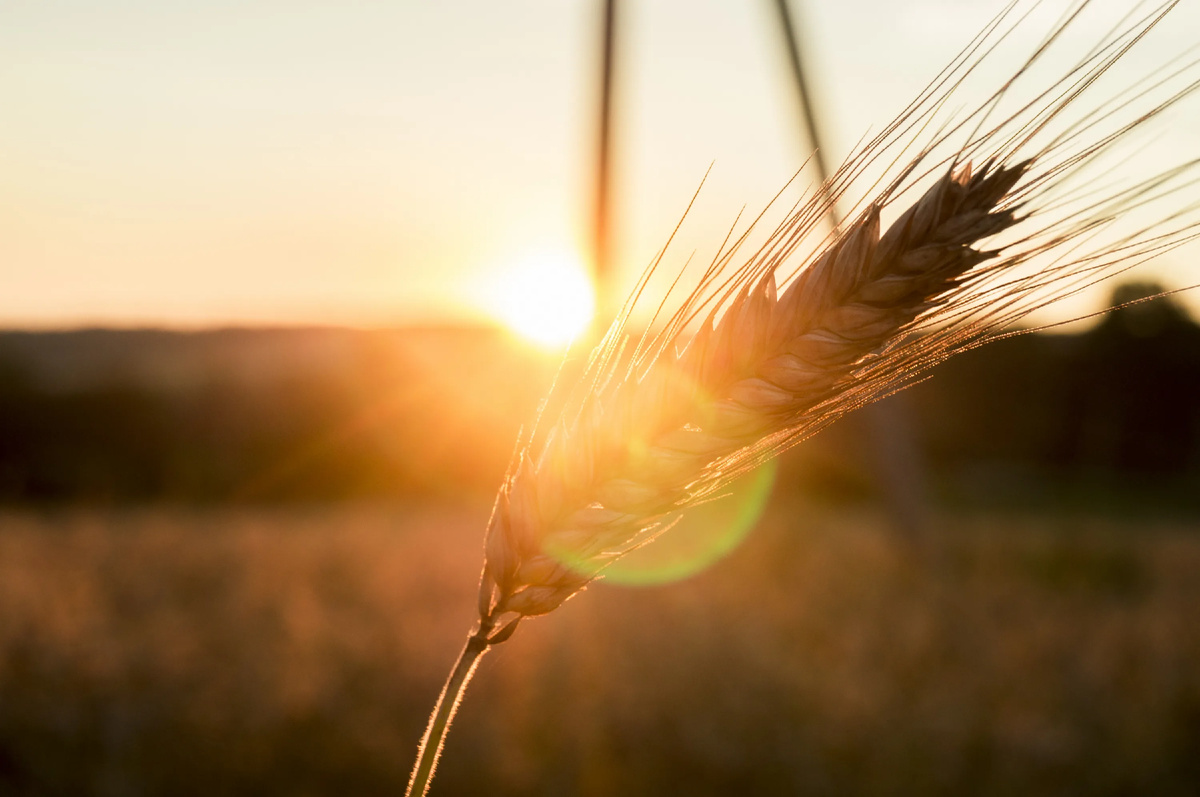 Изображение из открытых источников