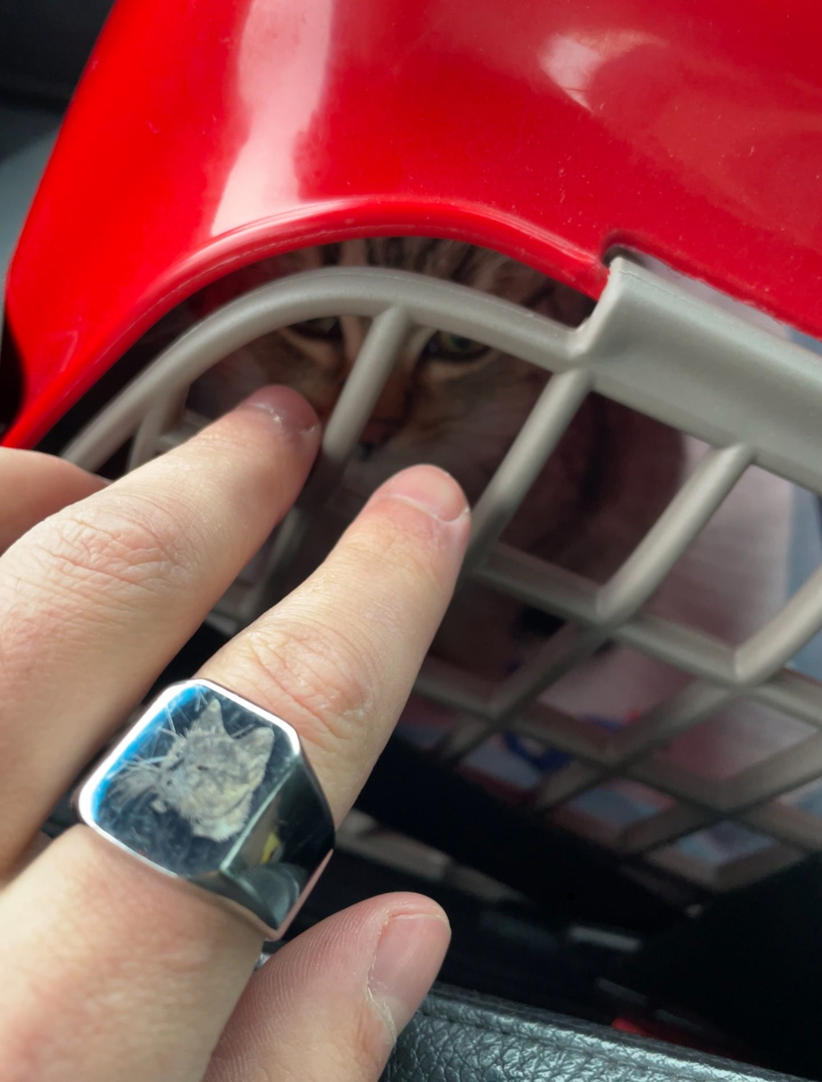 Это я в переноске)