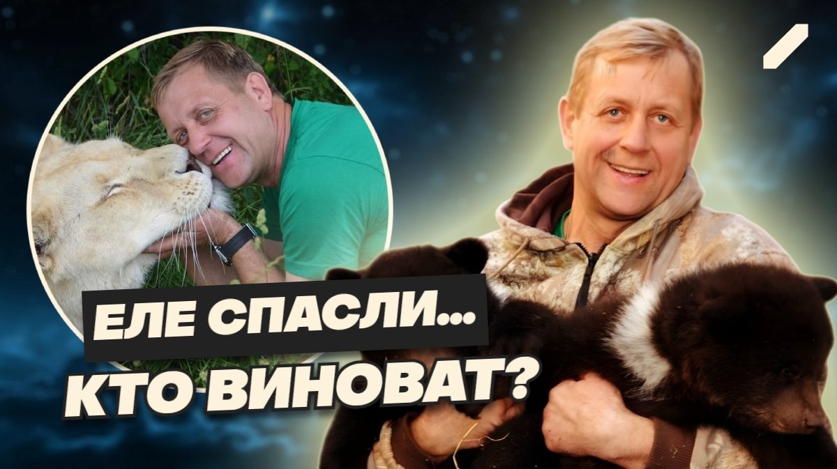 Трагедия в «Тайгане»: как лев растерзал своего хозяина. Несчастный случай или предсказуемая катастрофа?