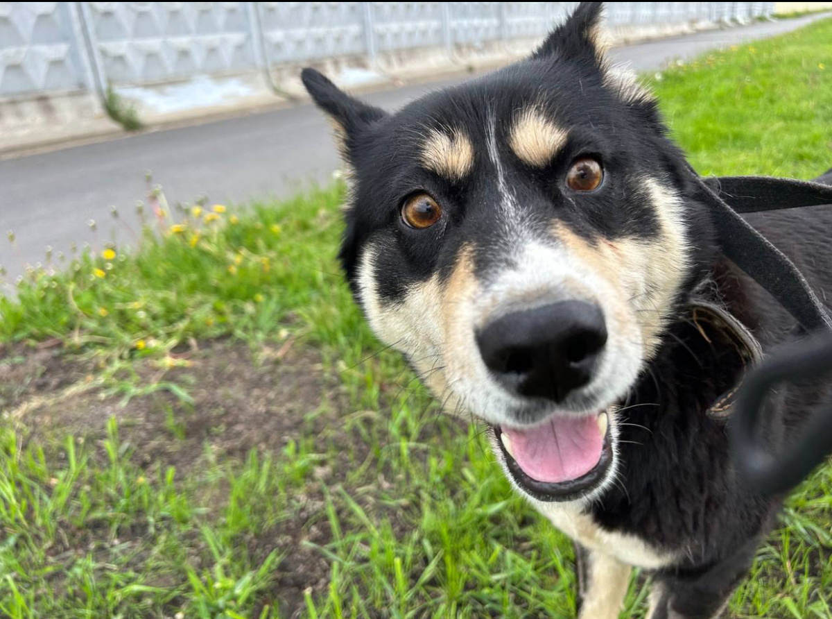 Фото знакомых автора