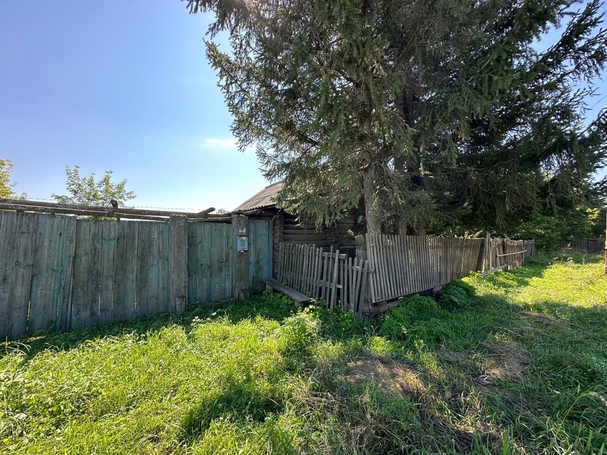 Фотография автора. 