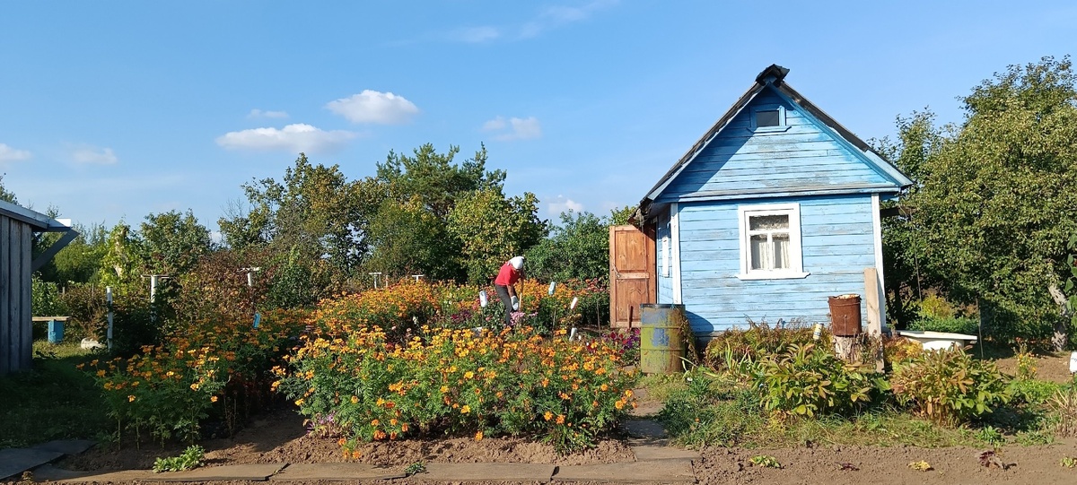    Прыскаю на садовые дорожки - и "сжигаю" все сорняки: за 1 день засыхают даже пырей и молочай - вот что берем