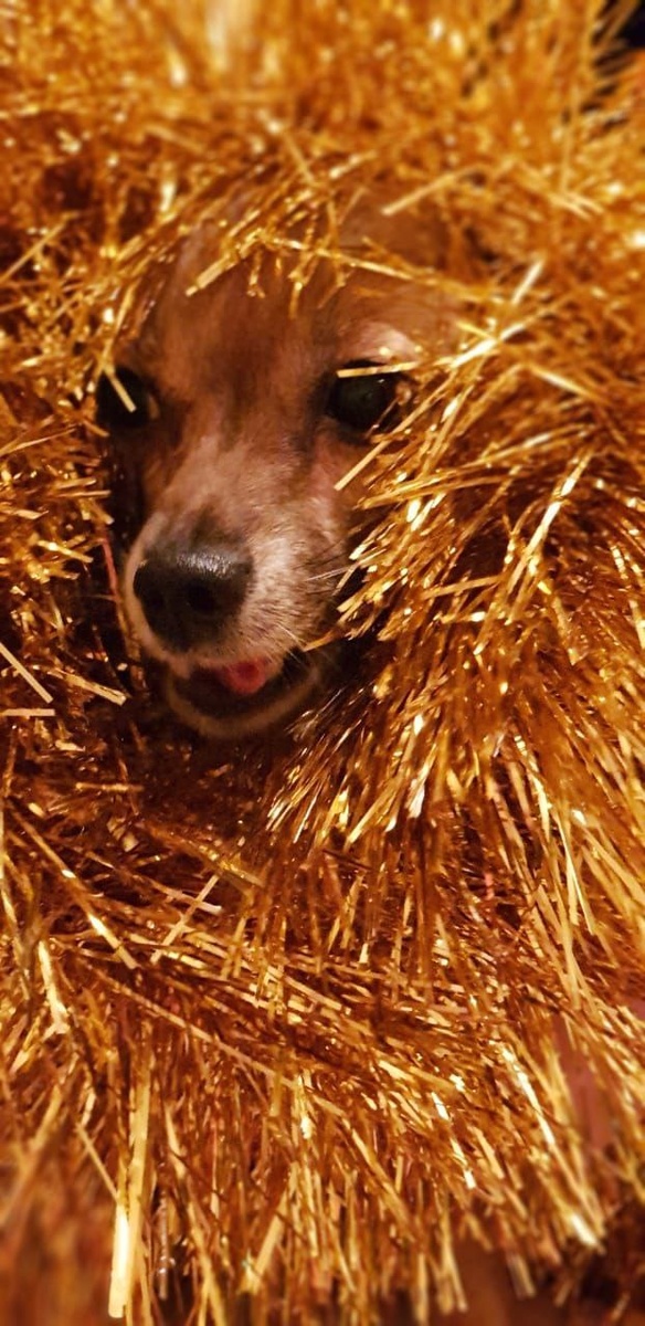 Из архива автора