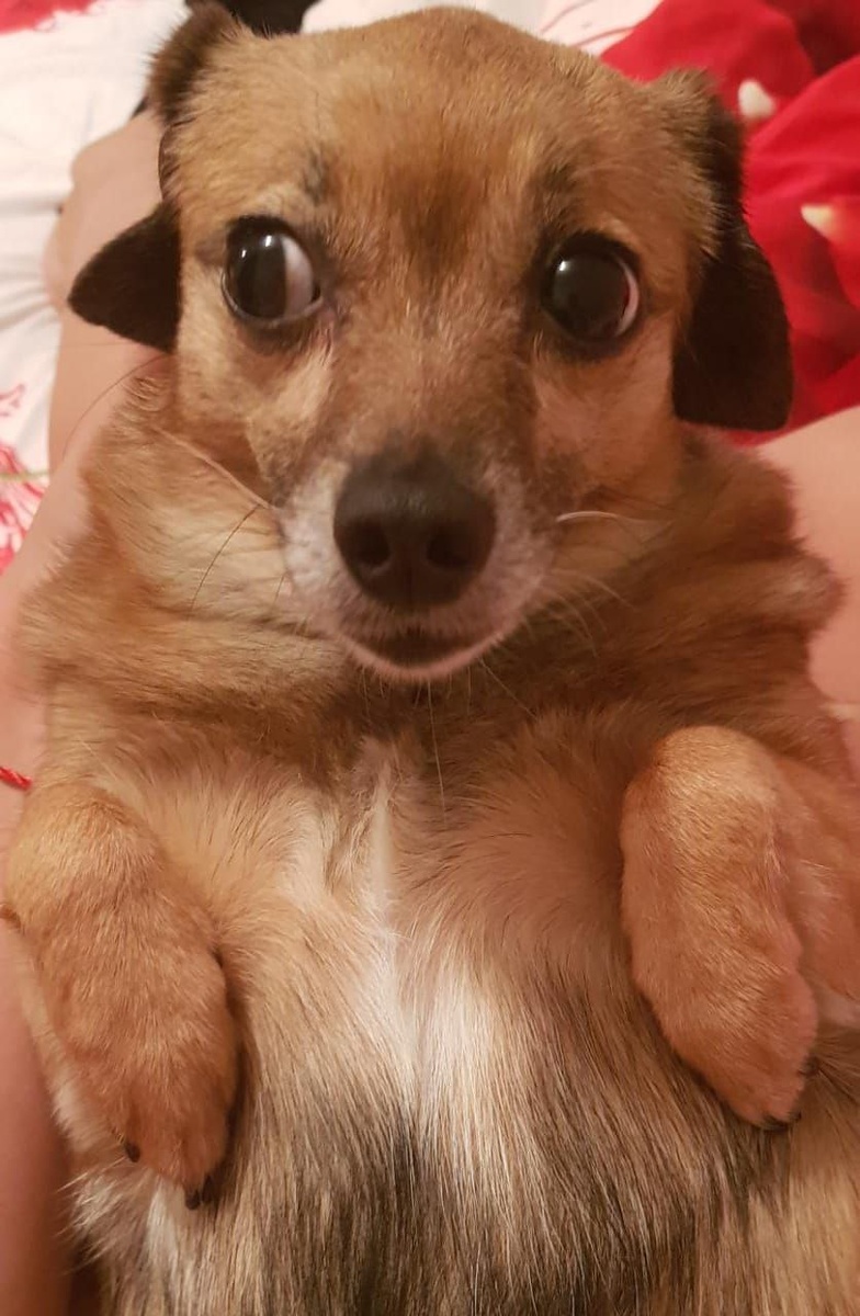 Из архива автора