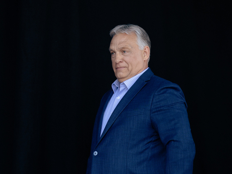     фото: ALEXIS SCIARD/KEYSTONE PRESS AGENCY/GLOBAL LOOK PRESS