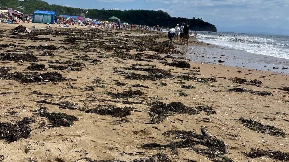     Источник: mcu_vl