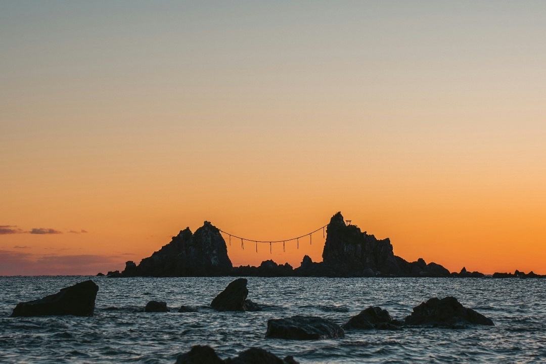 Источник: https://unsplash.com/  