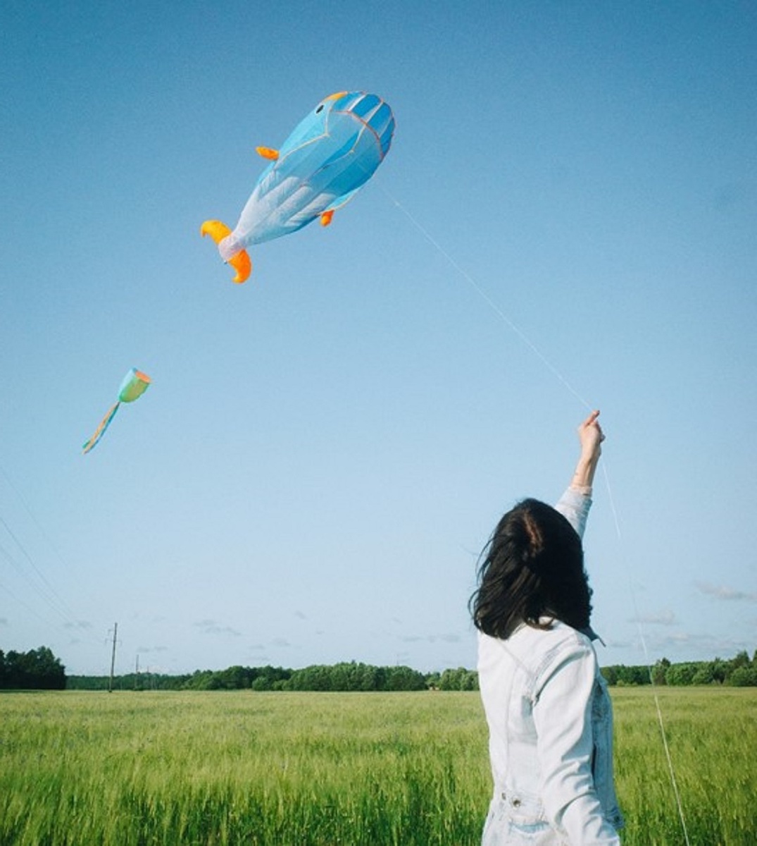 Источник: https://unsplash.com/ 