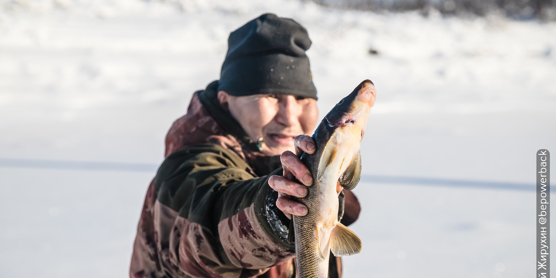 Ешь, пока не растаяло! — крикнул рыбак. Омуль, муксун, ряпушка,нельма,тугунок,хариус - вкусная северная рыба