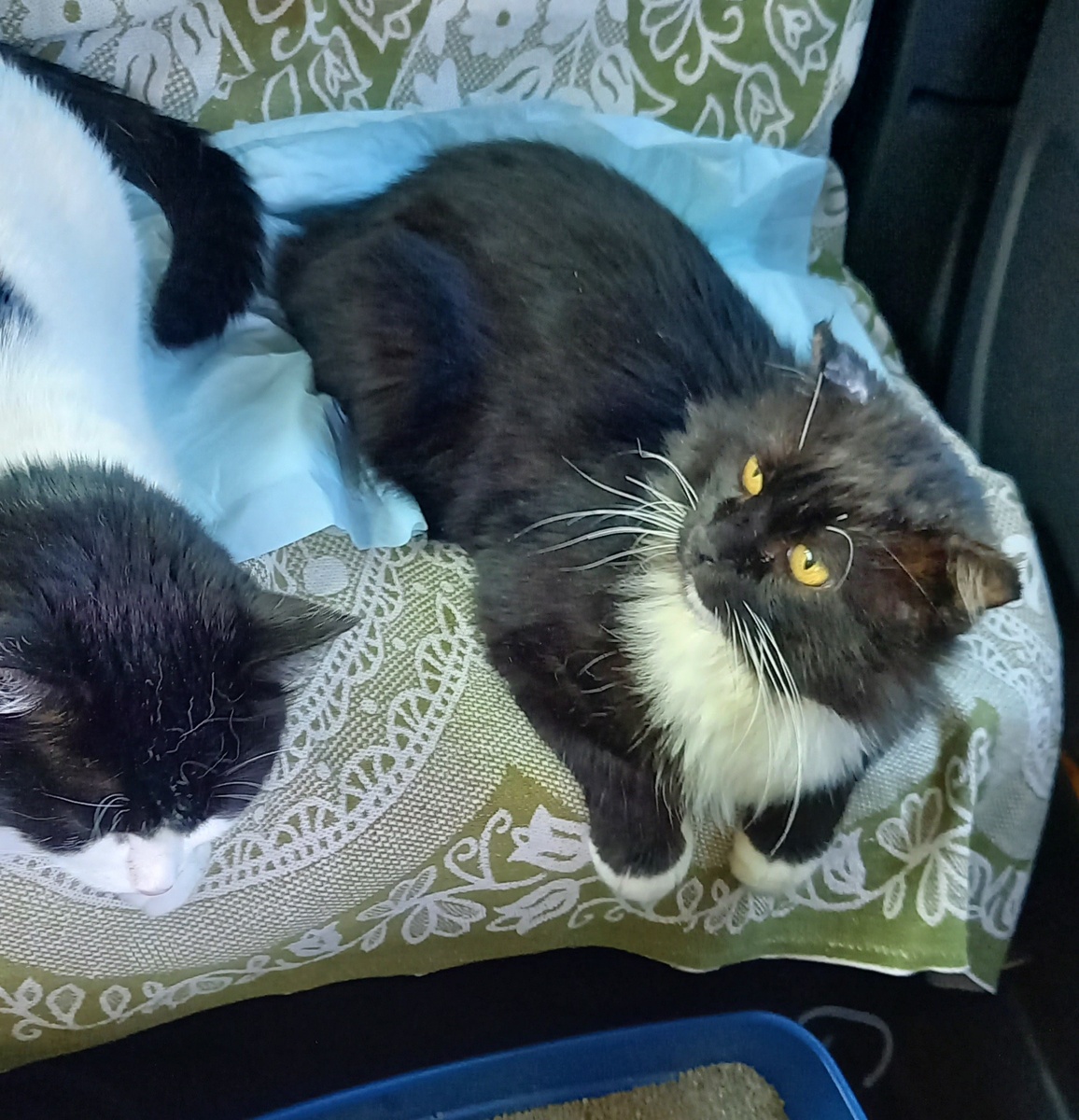 Фото автора