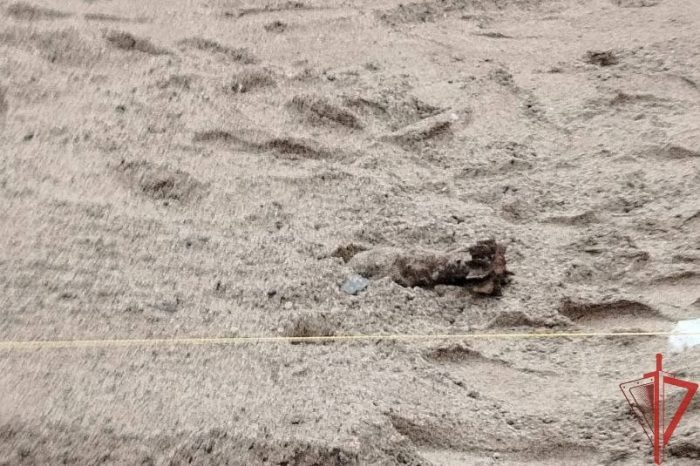 Фото: пресс-служба управления Росгвардии по Новосибирской области.