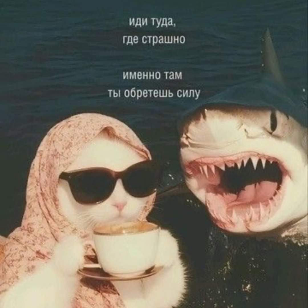 иллюстрация с просторов запрещенной соцсети