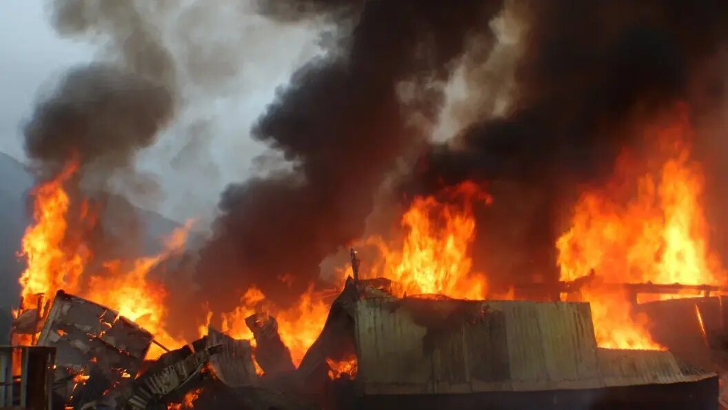    Lakeview Images\shutterstock.com