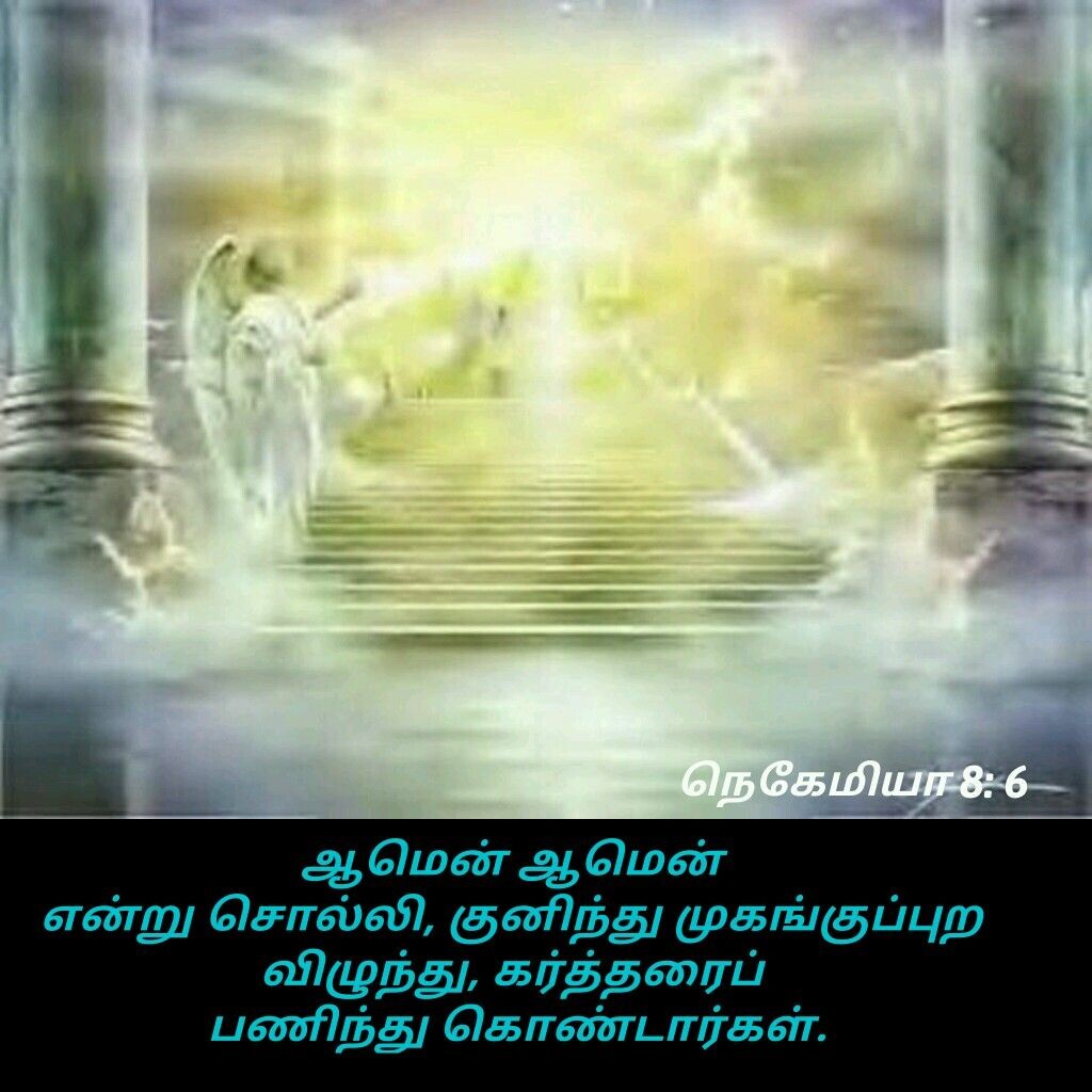 Из открытых источников Яндекса.