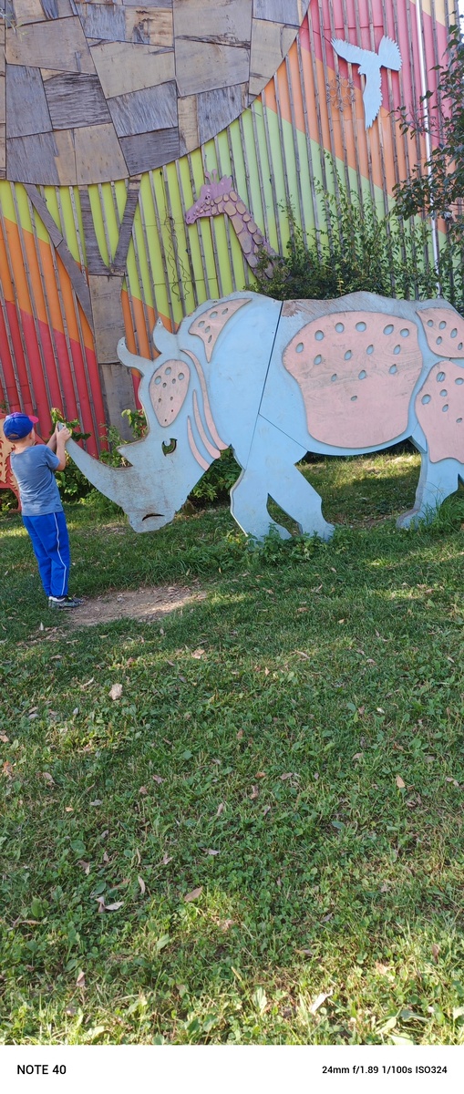 Ходили гулять