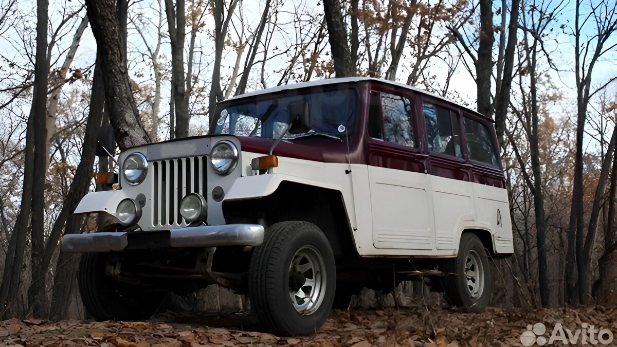     Источник: Авито