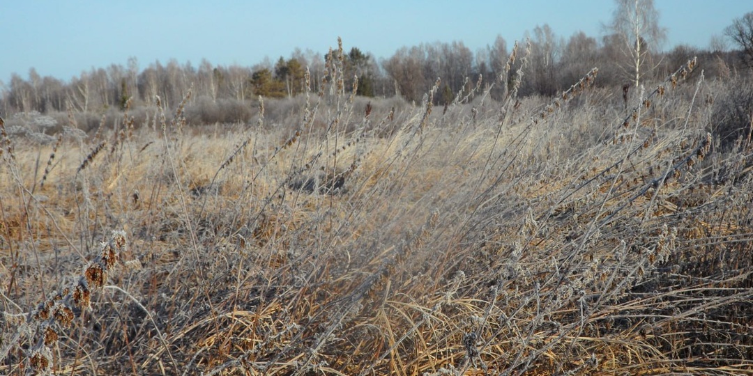 Вот как Росреестр будет отбирать земельные участки