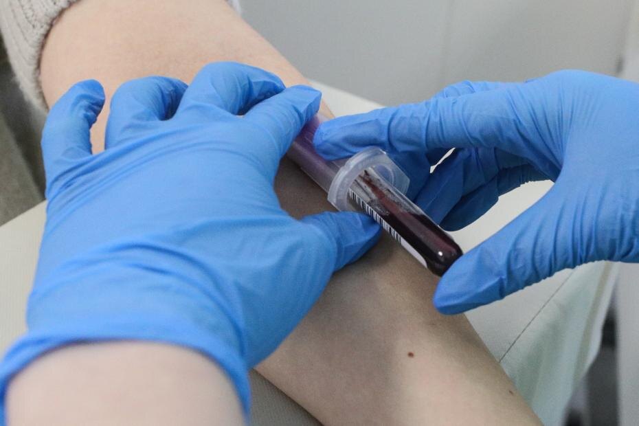    Сергей Булкин/NEWS.ru