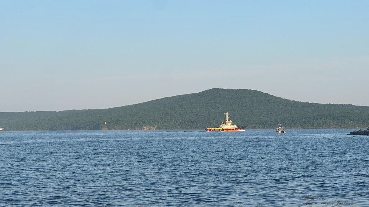     Источник: vostokmedia.com