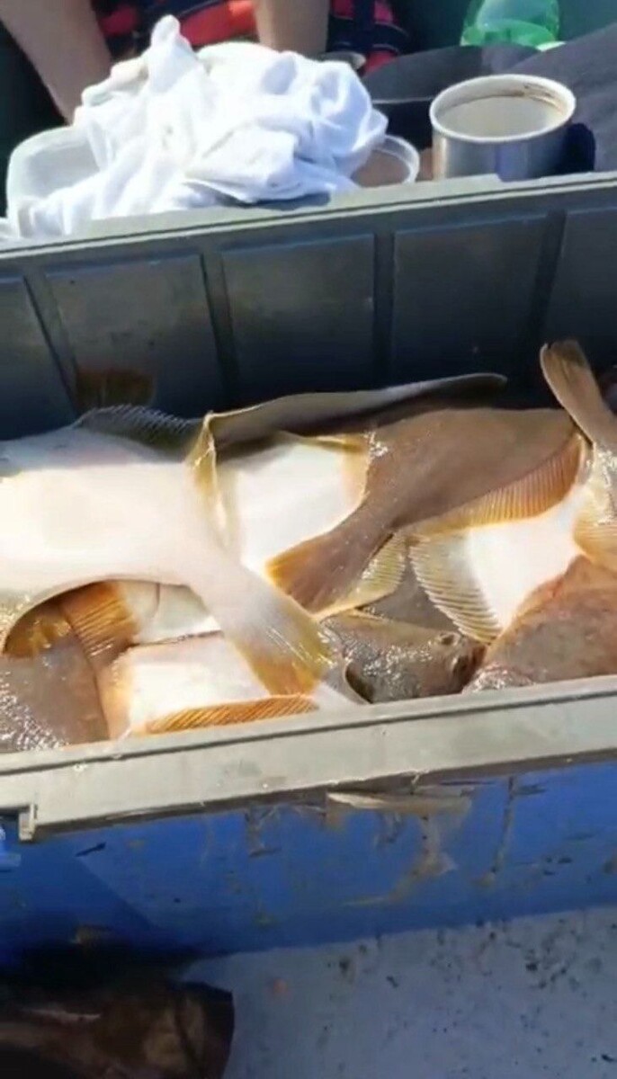     Источник: Улов25