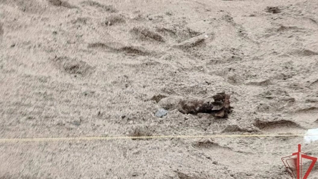    Фото: пресс-служба Управления Федеральной службы войск национальной гвардии России по Новосибирской области