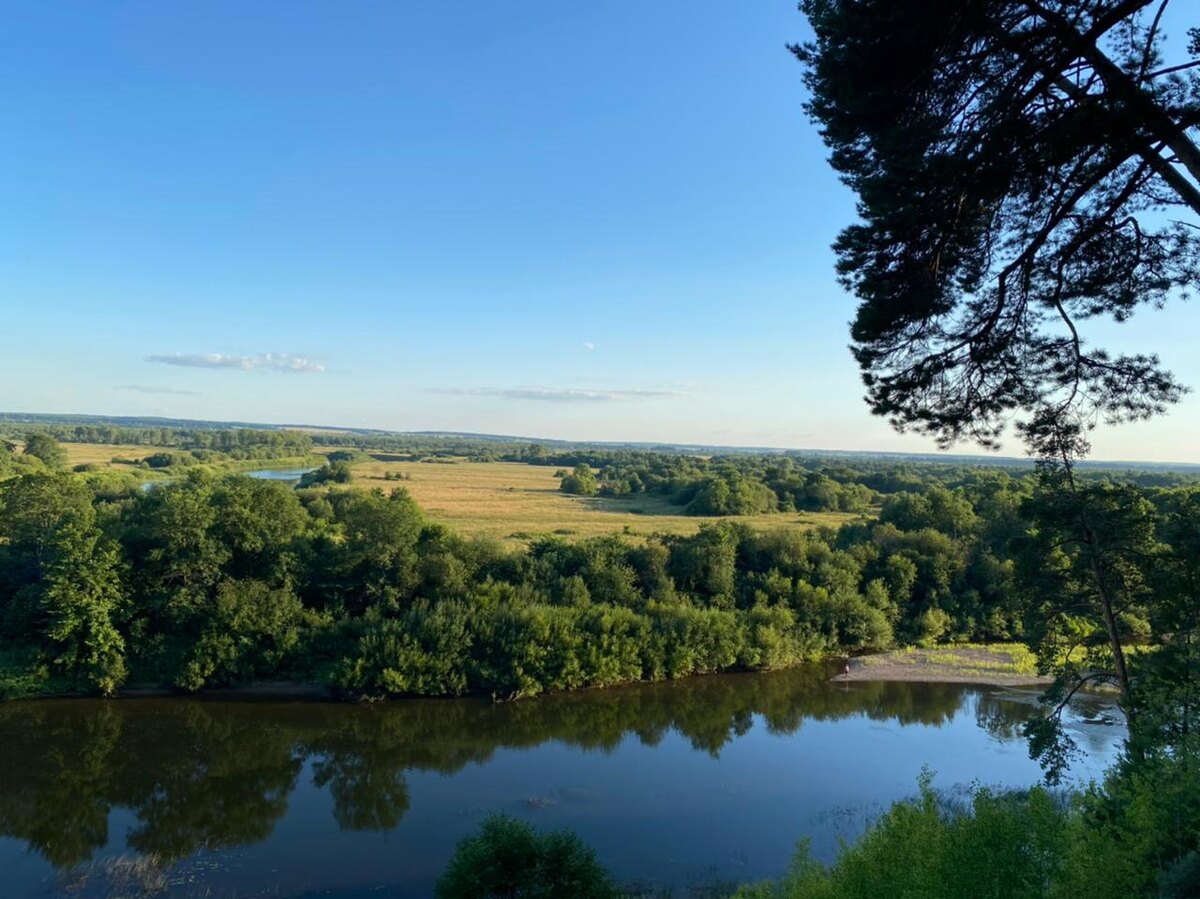 Любите природу и берегите её. 