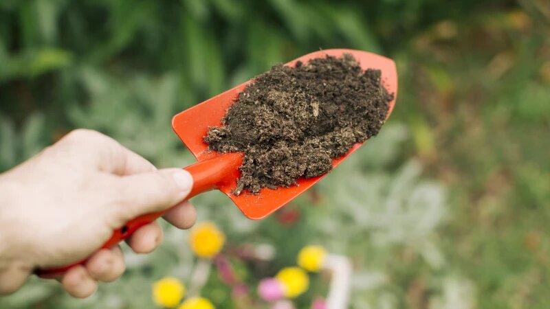     Удобрение. freepik.com/freepik