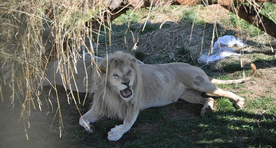    Komsomolskaya Pravda/Global Look Press / www.globallookpress.com