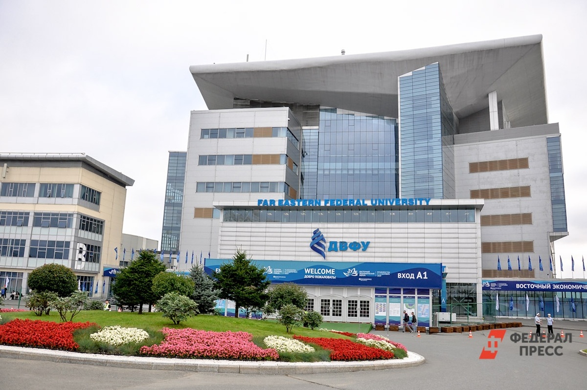 Какие специальности подорожали сильнее всего.  Фото: Фото: ФедералПресс / Екатерина Лазарева