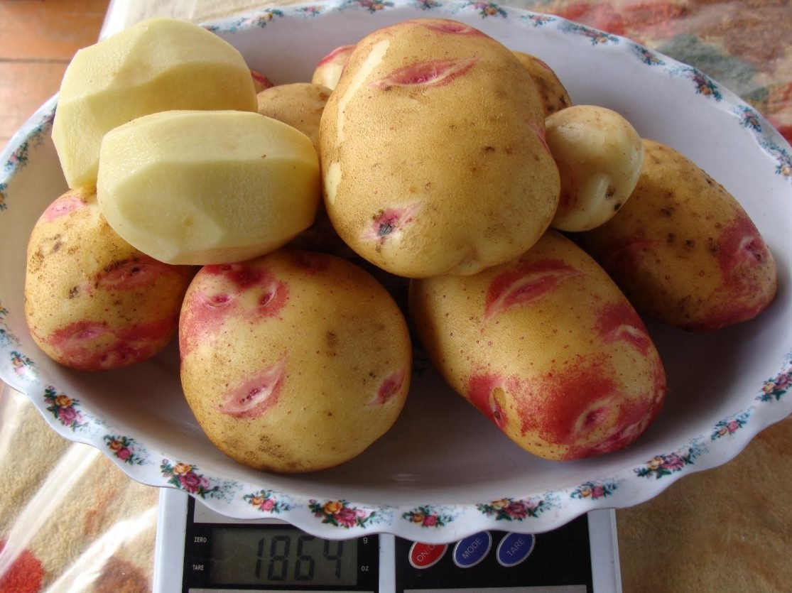 Фото: из личного архива / Надежда Марценюк / Наталья Федотова 