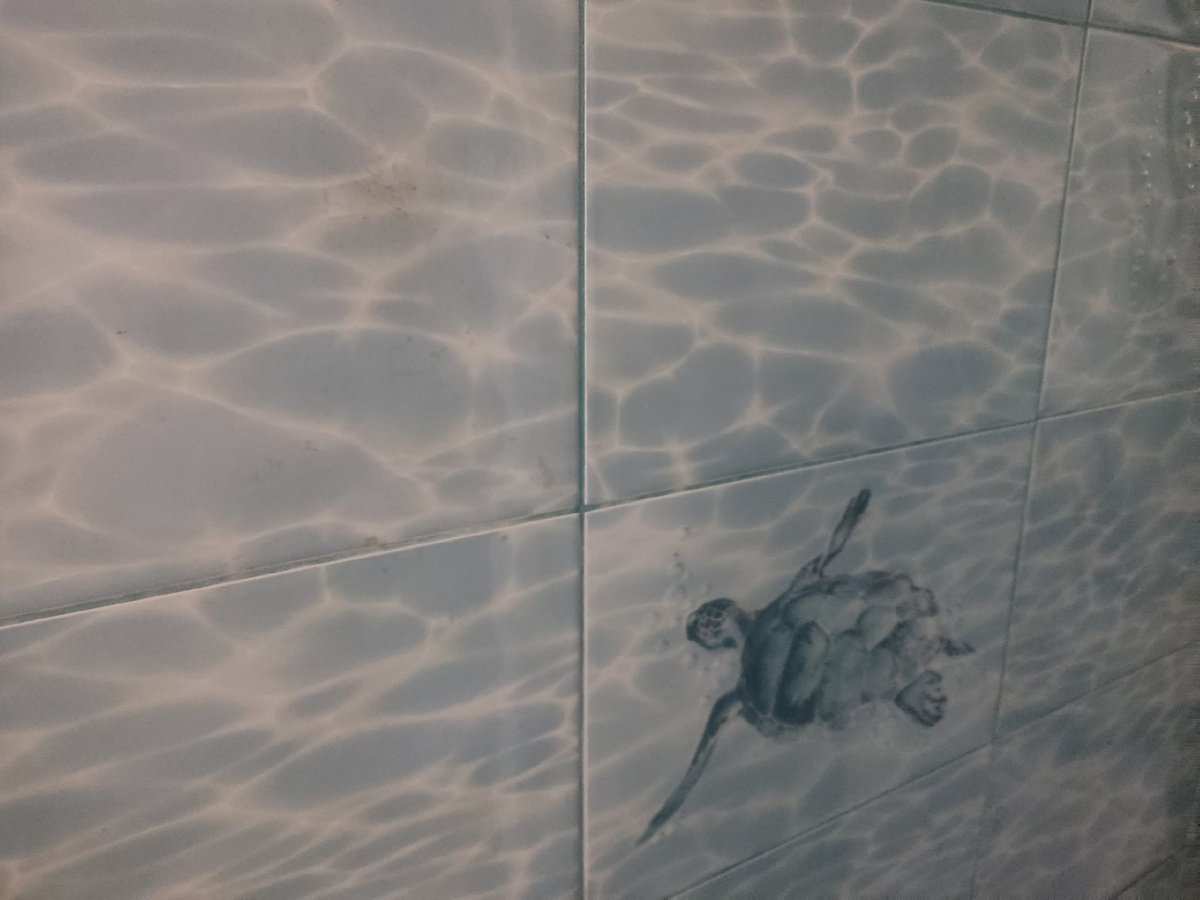 Было: неотмытая после зимы плитка в душевой