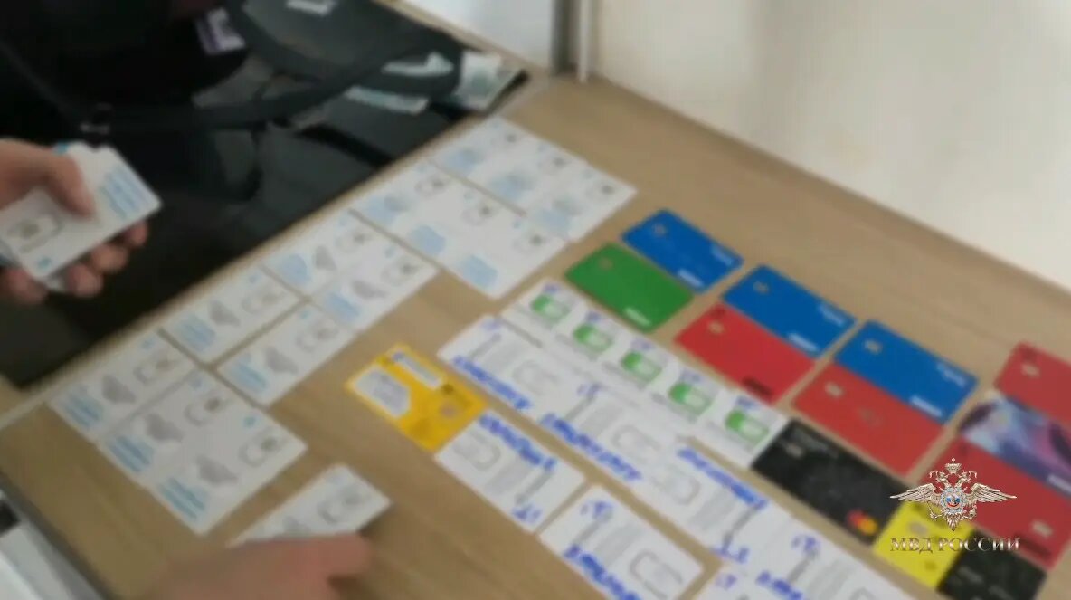    Фото: кадр видео МВД РФ