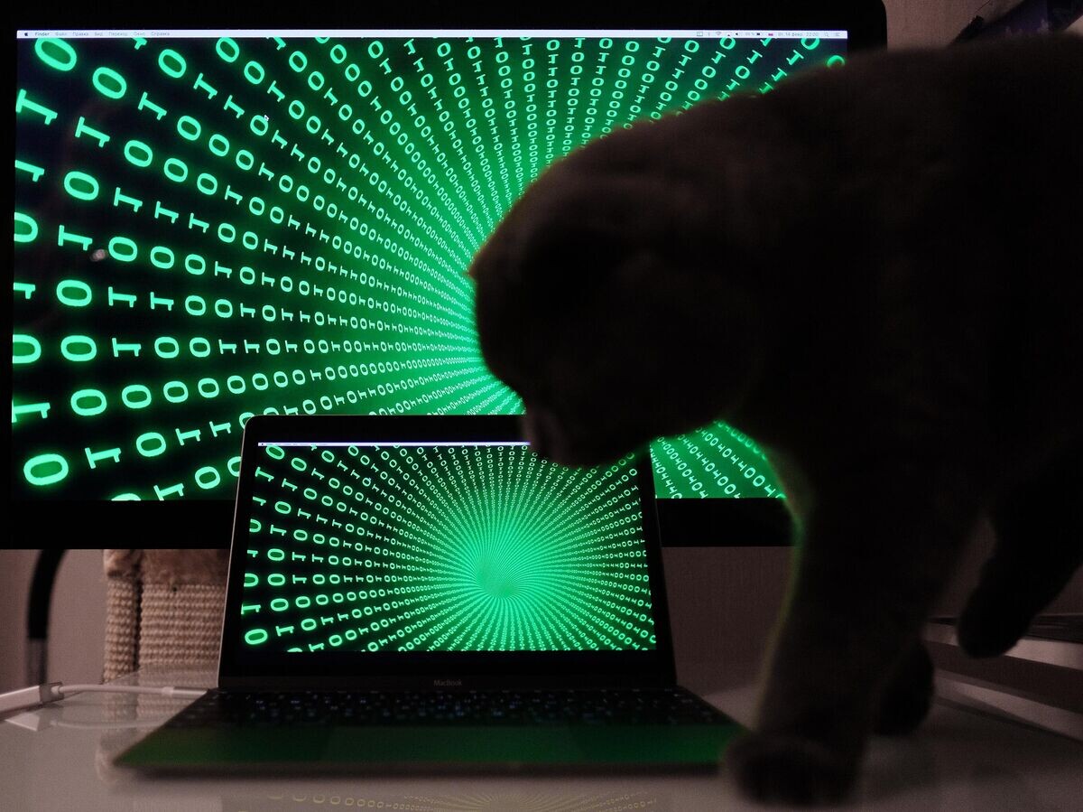    Строчки с цифрами на экранах компьютера и ноутбука© РИА Новости / Наталья Селиверстова