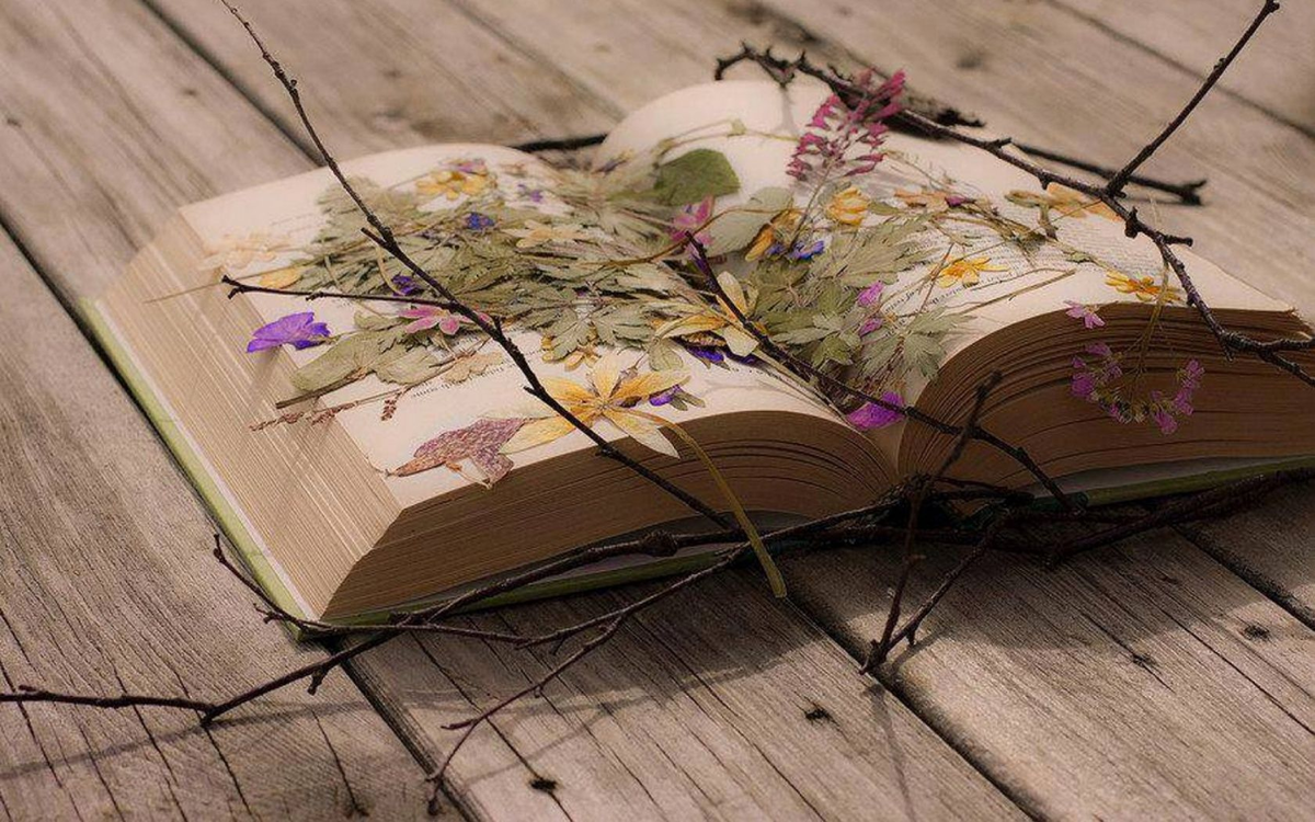 кто так засуживал растения?