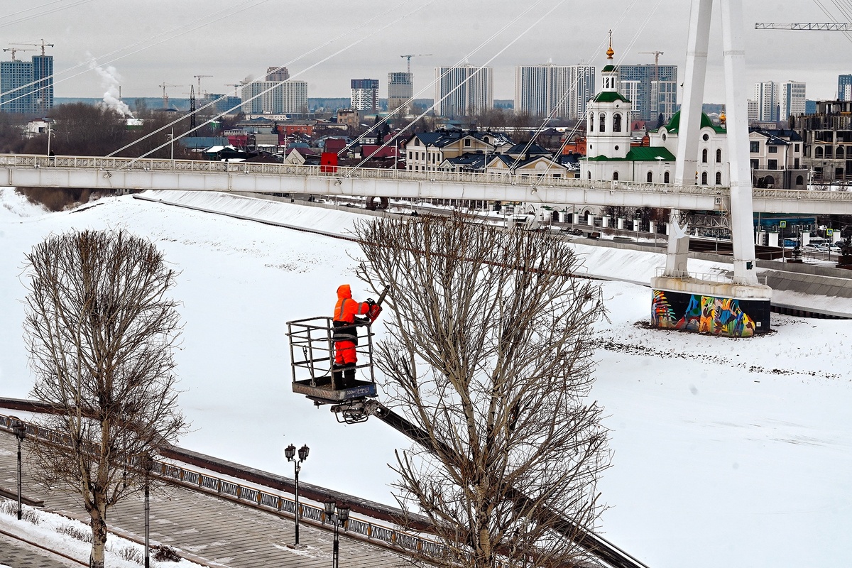 фото Сергея Елесина "Скоро весна"