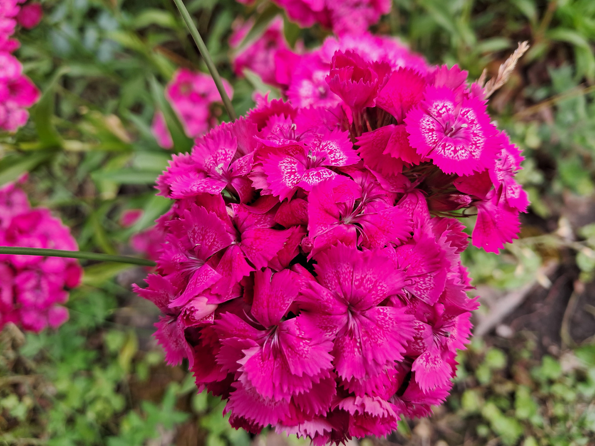 Монохромный цвет.