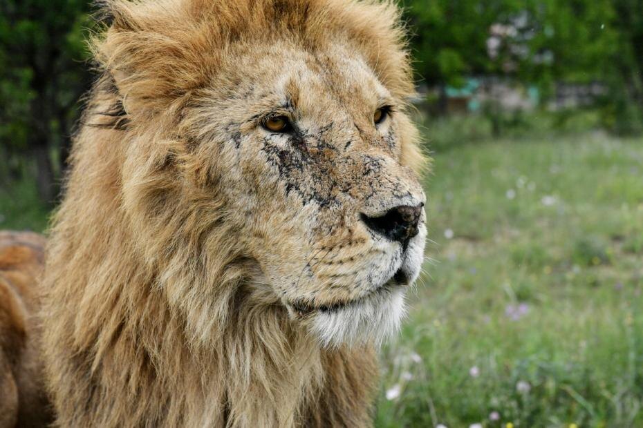    Константин Михальчевский/РИА Новости